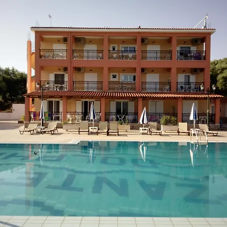 Zante Dolphin